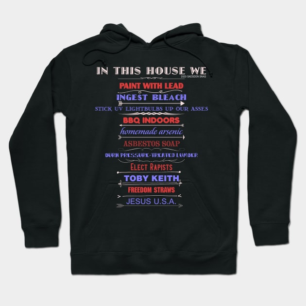 In This House We Drink Bleach & Stick UV Lightbulbs Up Our Asses Hoodie by Gadsden Snag